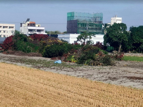 彰化樹木清除, 彰化怪手整地, 彰化小山貓整地, 彰化堆土整地, 彰化雜草清除, 彰化地推平, 田尾樹木清除, 田尾怪手整地, 田尾小山貓整地, 田尾堆土整地, 田尾雜草清除, 田尾地推平