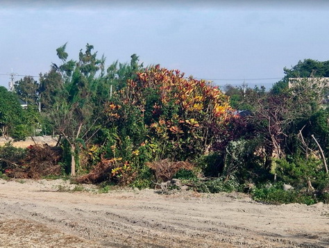 彰化樹木清除, 彰化怪手整地, 彰化小山貓整地, 彰化堆土整地, 彰化雜草清除, 彰化地推平, 田尾樹木清除, 田尾怪手整地, 田尾小山貓整地, 田尾堆土整地, 田尾雜草清除, 田尾地推平