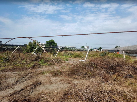 彰化挖土機整地, 彰化雜草清除, 彰化溪湖挖土機整地, 彰化溪湖雜草清除